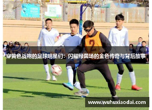 穿黄色战袍的足球明星们：闪耀绿茵场的金色传奇与背后故事
