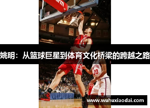 姚明：从篮球巨星到体育文化桥梁的跨越之路