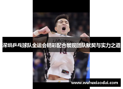深圳乒乓球队全运会精彩配合展现团队默契与实力之道