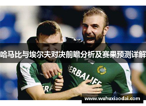 哈马比与埃尔夫对决前瞻分析及赛果预测详解